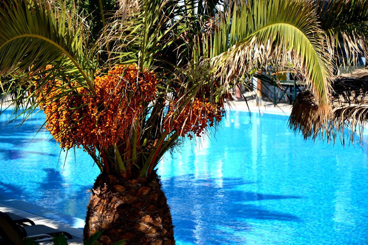 Zephyros Hotel Kamari  Exterior photo